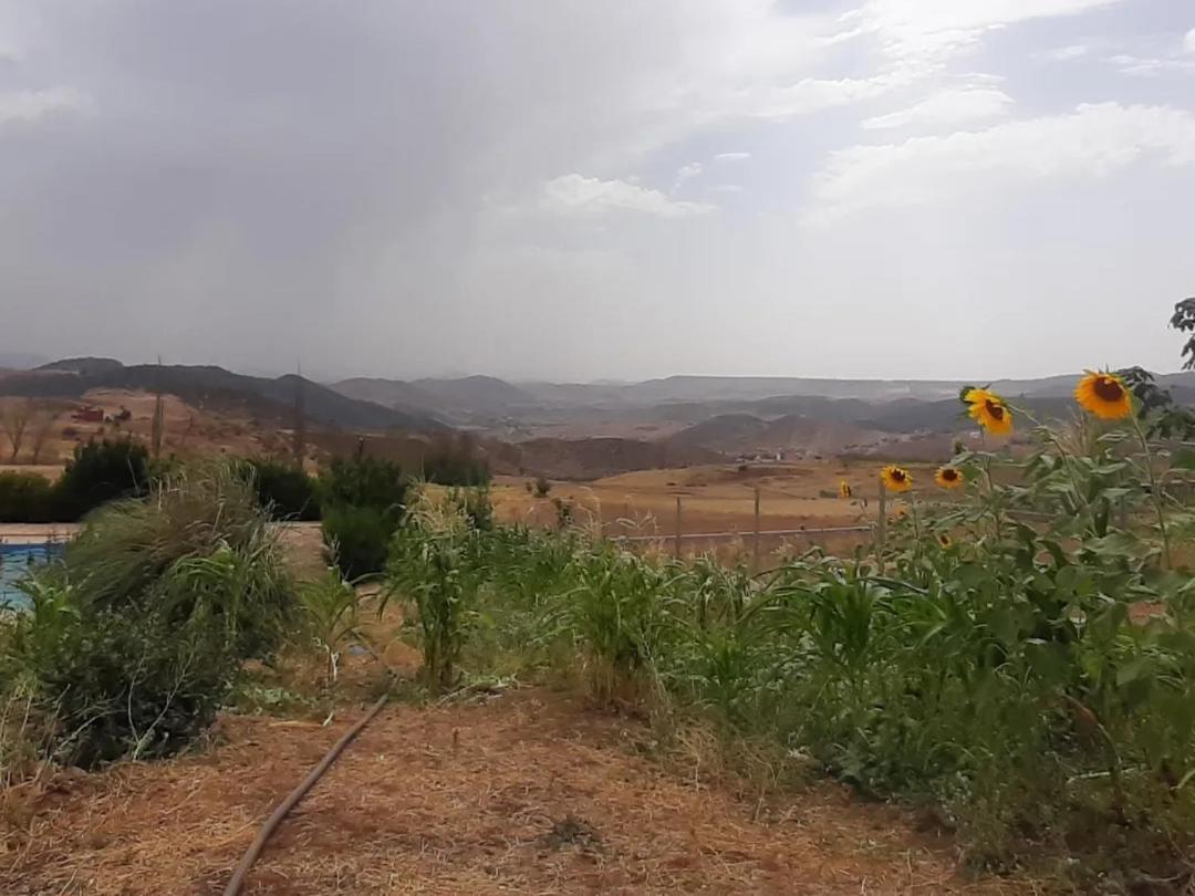 La Rose Blanche Otel Zaouia Ben Smine Dış mekan fotoğraf