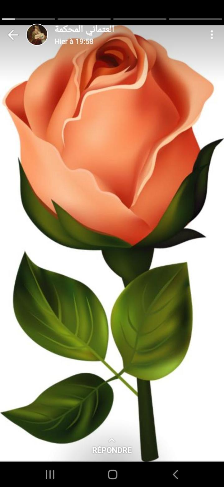 La Rose Blanche Otel Zaouia Ben Smine Dış mekan fotoğraf